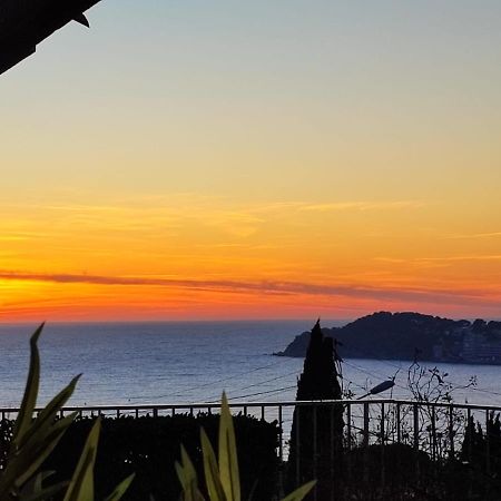 T2 Vue Mer Six-Fours-les-Plages Luaran gambar
